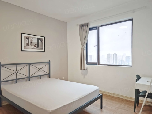 合租·金牛万达D组团 4居室 西南卧