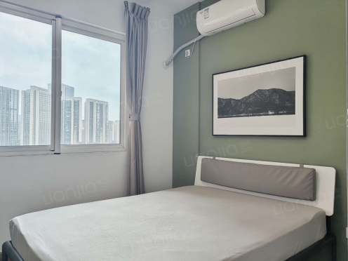 合租·红枫岭三期 4居室 南卧