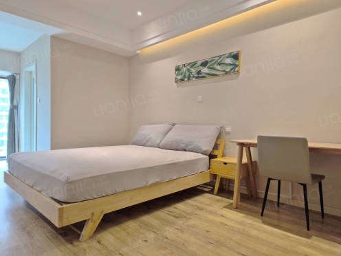 整租·锦城南府 1室1厅 西