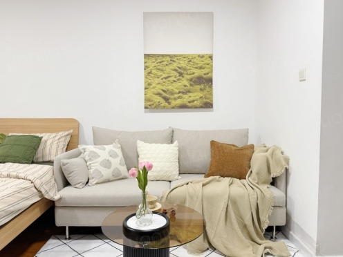 整租·长富新城 1室1厅 西北