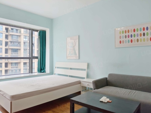 整租·尚郡 1室1厅 南