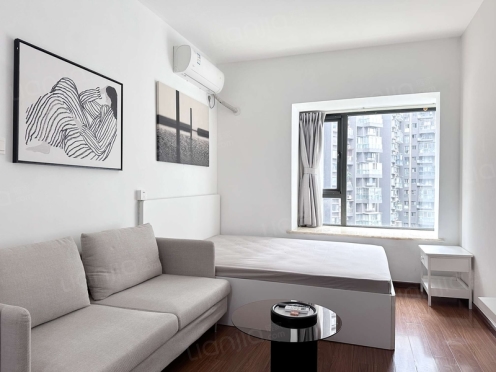 整租·曦城 1室1厅 西南