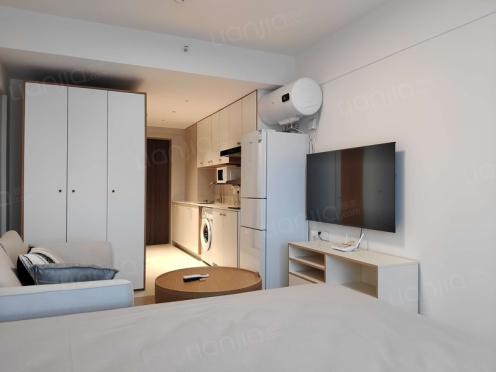 整租·当代钛公馆 1室1厅 西