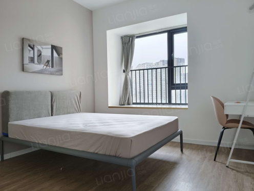 合租·央湖名邸二期 4居室 西卧