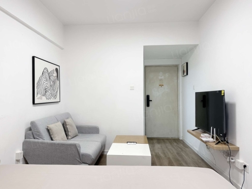 整租·新城市广场 1室1厅 西