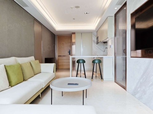 整租·复地金融岛湾流汇 1室1厅 南