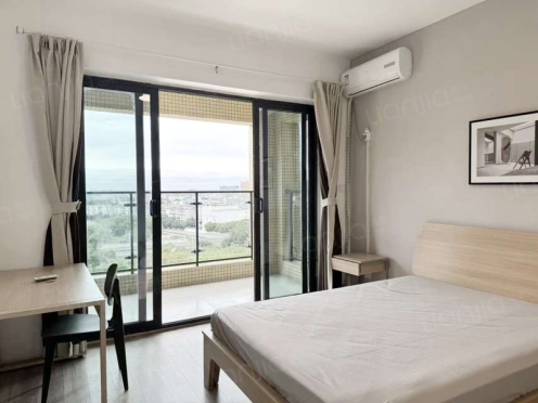 合租·人居天府汇城 4居室 西卧