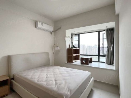 整租·天府滨江中心 1室1厅 西