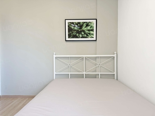 合租·锐力领峰 4居室 东南卧