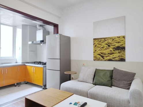 整租·东湖国际 1室1厅 北