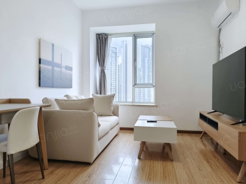 整租·镏金岁月 1室1厅 东