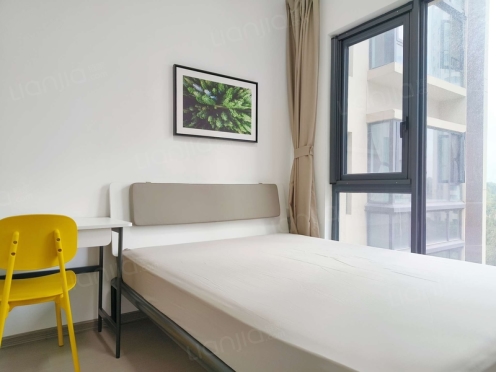 合租·天府公园未来城星曜名邸 4居室 东卧