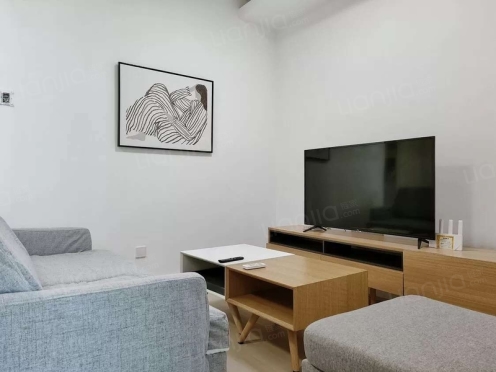 整租·欧韵金沙 1室1厅 西北