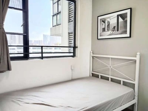 合租·财富又一城 4居室 东卧