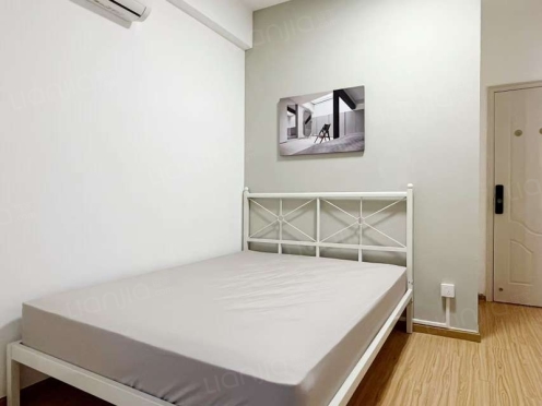 合租·锐力领峰 4居室 南卧