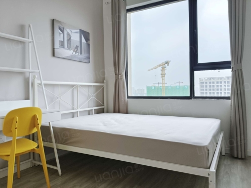 合租·鲁能公馆1区 3居室 东卧