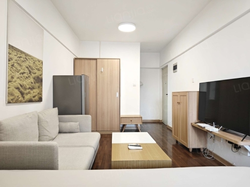 整租·新城市广场 1室1厅 西北