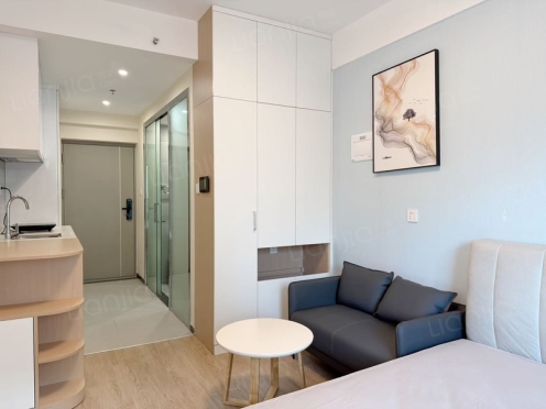 整租·万科·新川荟 1室1厅 南