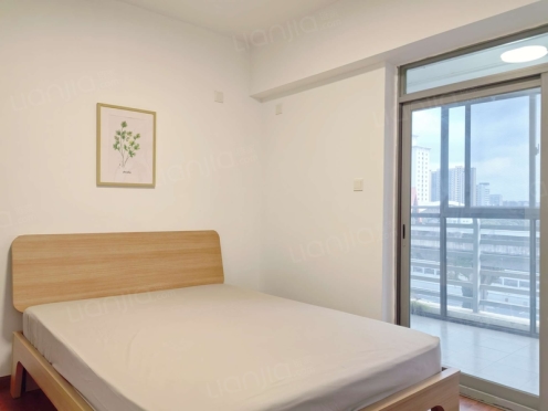 合租·金林大城小室 3居室 南卧