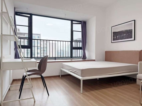 合租·天府公园未来城星曜名邸 4居室 南卧