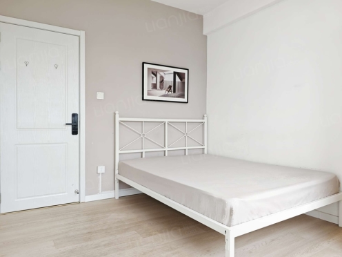 合租·金房大榕湾人家 4居室 南卧