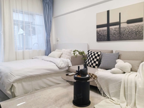 整租·新城市广场 1室1厅 东北