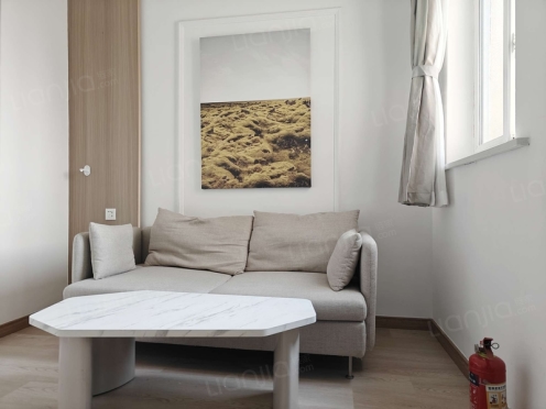 整租·金杨新村三街坊 1室1厅 南