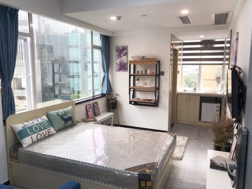 独栋·新竣公寓 江南西总店 地铁独栋公寓豪华单间 开间