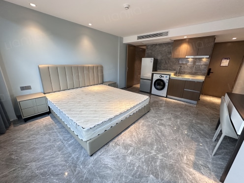 独栋·华皙 未来科技城店 同花顺一路之隔壁步行上班 1室1厅