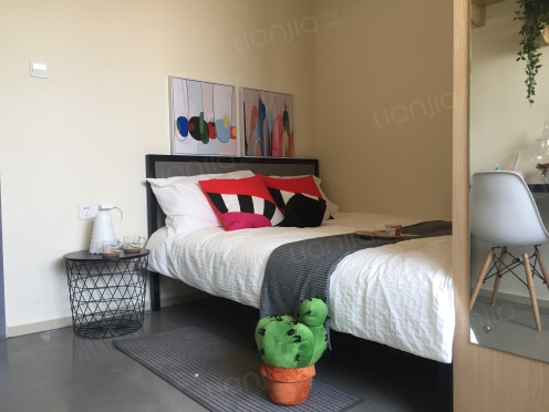 独栋·集悦城红花岭 7栋 深圳大学城/精装单房/有电梯/看山景 1室1厅