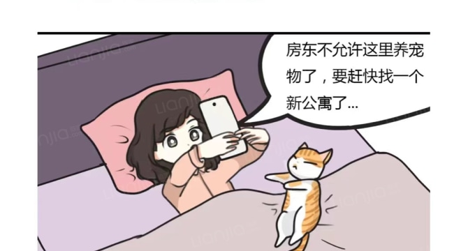 萌宠社区