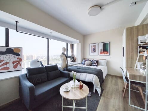 独栋·龙湖冠寓 丁桥天街店 年底钜惠，可短租一个月，地铁口100m，特惠大飘窗舒适阳光房 1室1厅