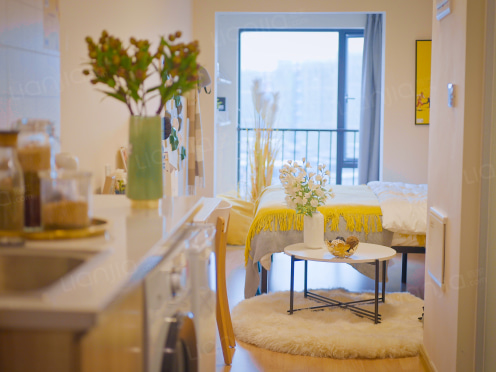 独栋·龙湖冠寓 成都武侯新城店 【无中介】一个月起租，免费桌球影音室，3/9武青南路地铁口 可月付可开票 开间