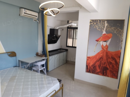 独栋·新利江公寓 大明一里店 石子塘地铁口 电梯单间 大沙田江南万达 配套齐全A户型 开间