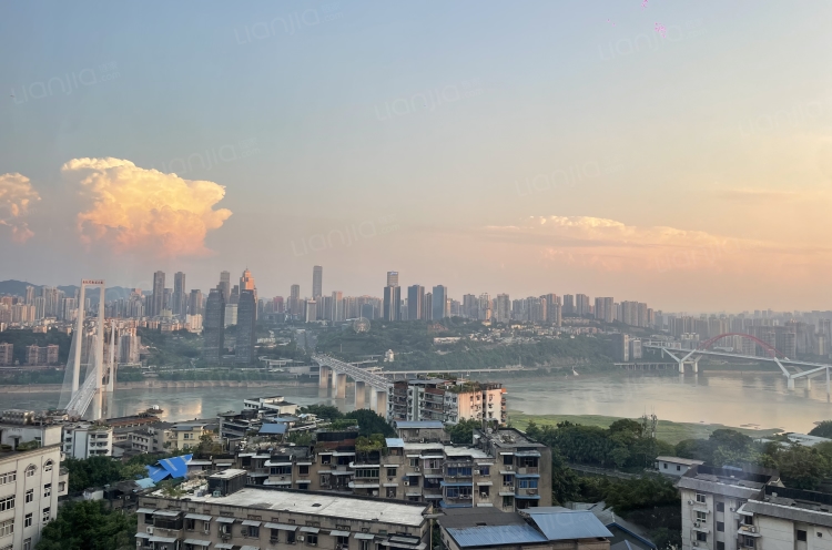 可养宠物！长租享超大额外福利  可月付 无中介  电梯房