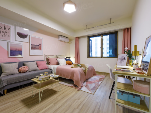 独栋·蔷薇之家 无中介费 长租福利！阳光开间 1室1厅