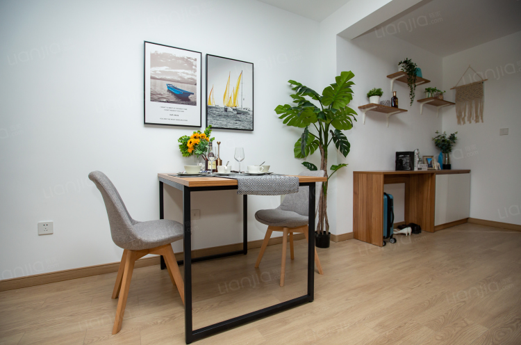 【免费留房到年后】阳光全天有，朝南大阳台，左临大有镜，右临公园