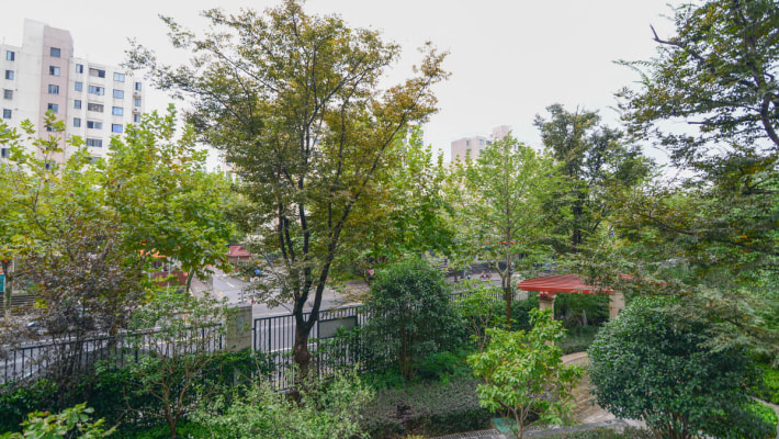 06f47864-afd3-409c-b1bb-c692c2f8e9fd.jpg.710x400.jpg