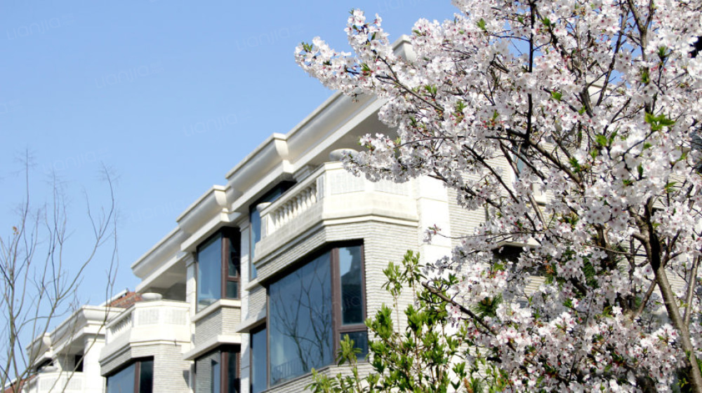 汤泉美地城相册