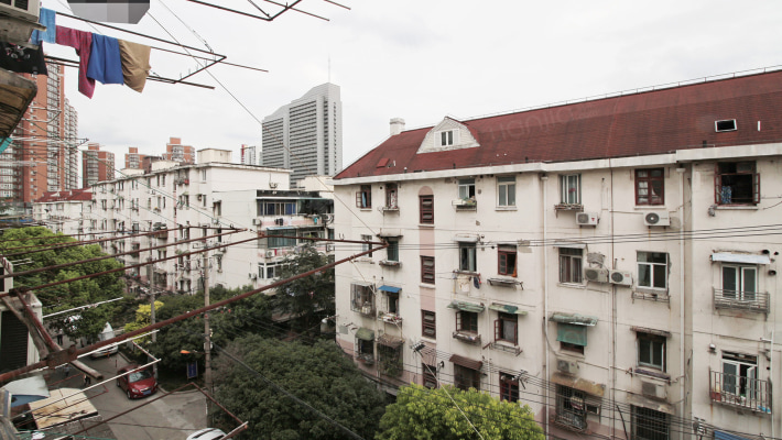 曹杨八村一室一厅,税费低,楼层好,采光足,看房方便