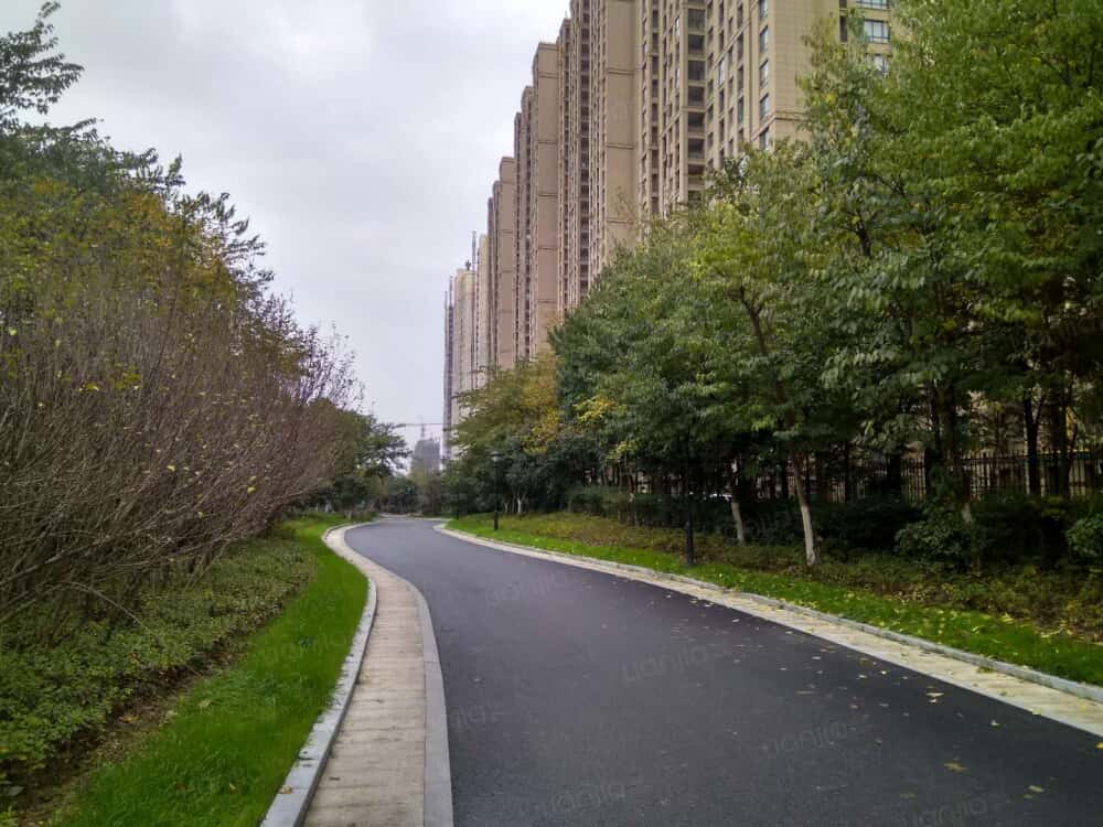 海宁公园道一号相册
