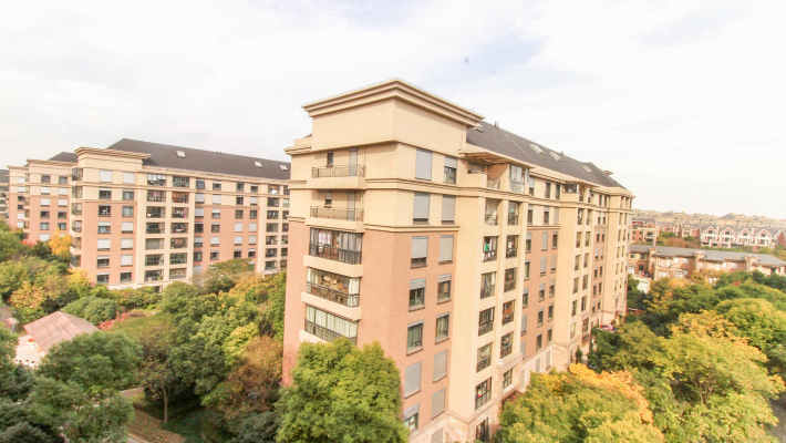 朗诗绿岛(公寓) 2室2厅 310万