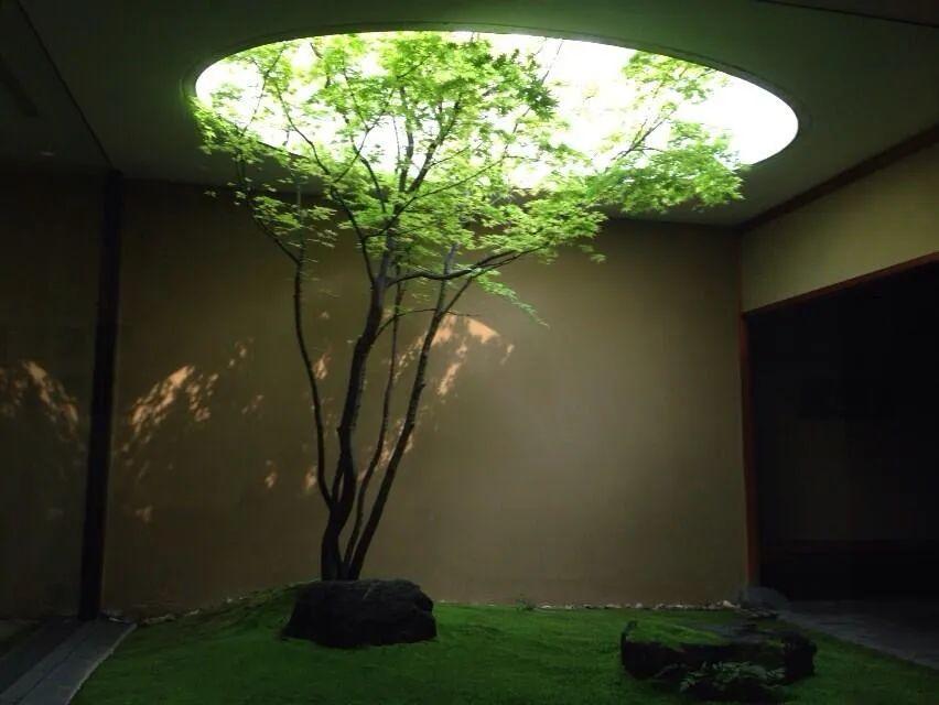 一方庭院的静美侘寂 需要通过对本质的认识 景观小品以及植物搭配等