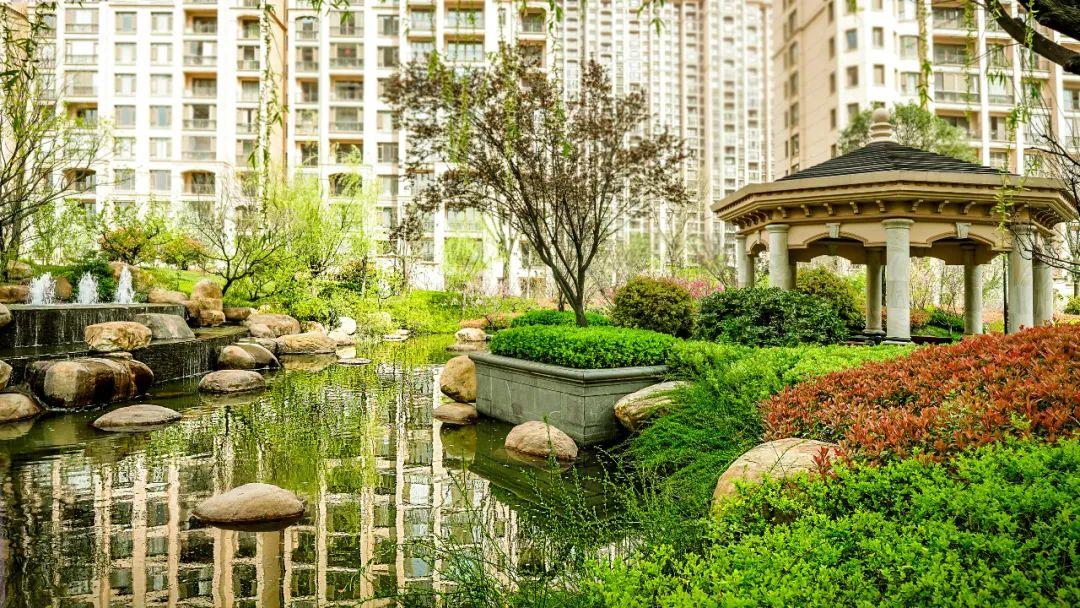 不负韶华,星河湾小掠,邂逅最美的春光.