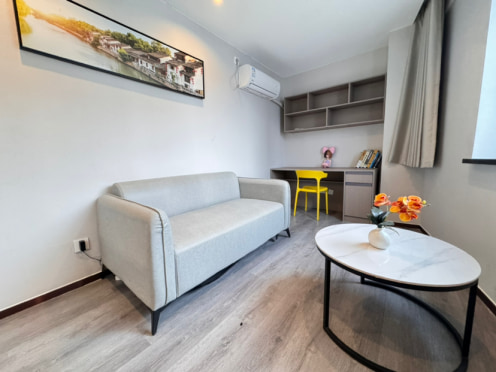 独栋·无锡乐之家公寓 三阳广场店 特价 我是房东 恒隆对面精装大套间 免费wifi健身房 1室1厅