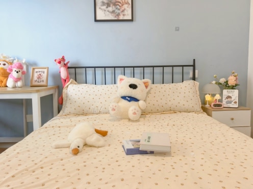 合租·宝龙城市广场龙邸 5居室 南卧