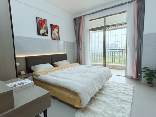 独栋·居+公寓 洪屋下村一村店 全新电梯房一房一厅，超大厕所，楼下停车免费，近大路，真图实景 1室1厅