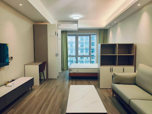 独栋·苏享家公寓 汇萃公寓 雅致温馨一居室可做饭 1室1厅