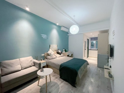 独栋·朗诗寓 建宁路店 白领单室套一居室地铁口好房 1室1厅