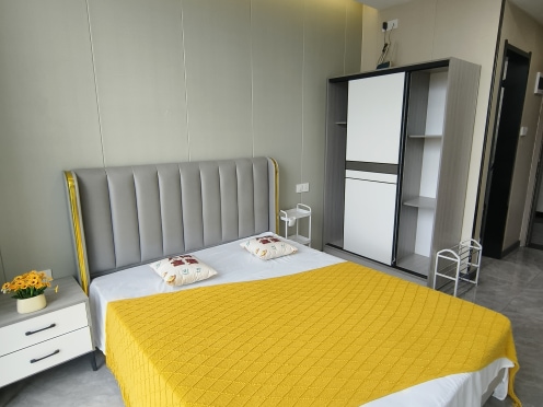 独栋·品牌·公寓 海豚酒店式公寓 酒店式公寓全景落地窗环境好精装拎包入住押一付一 开间